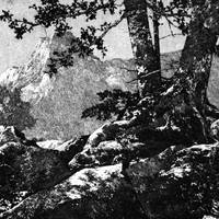 Hymns of Morning and Liberty